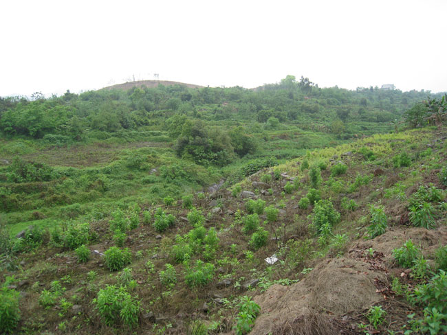 ���Ĺ���������